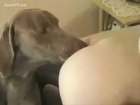 Pet Sex Video - Balls unfathomable fucking for this legal age teenager and her dog